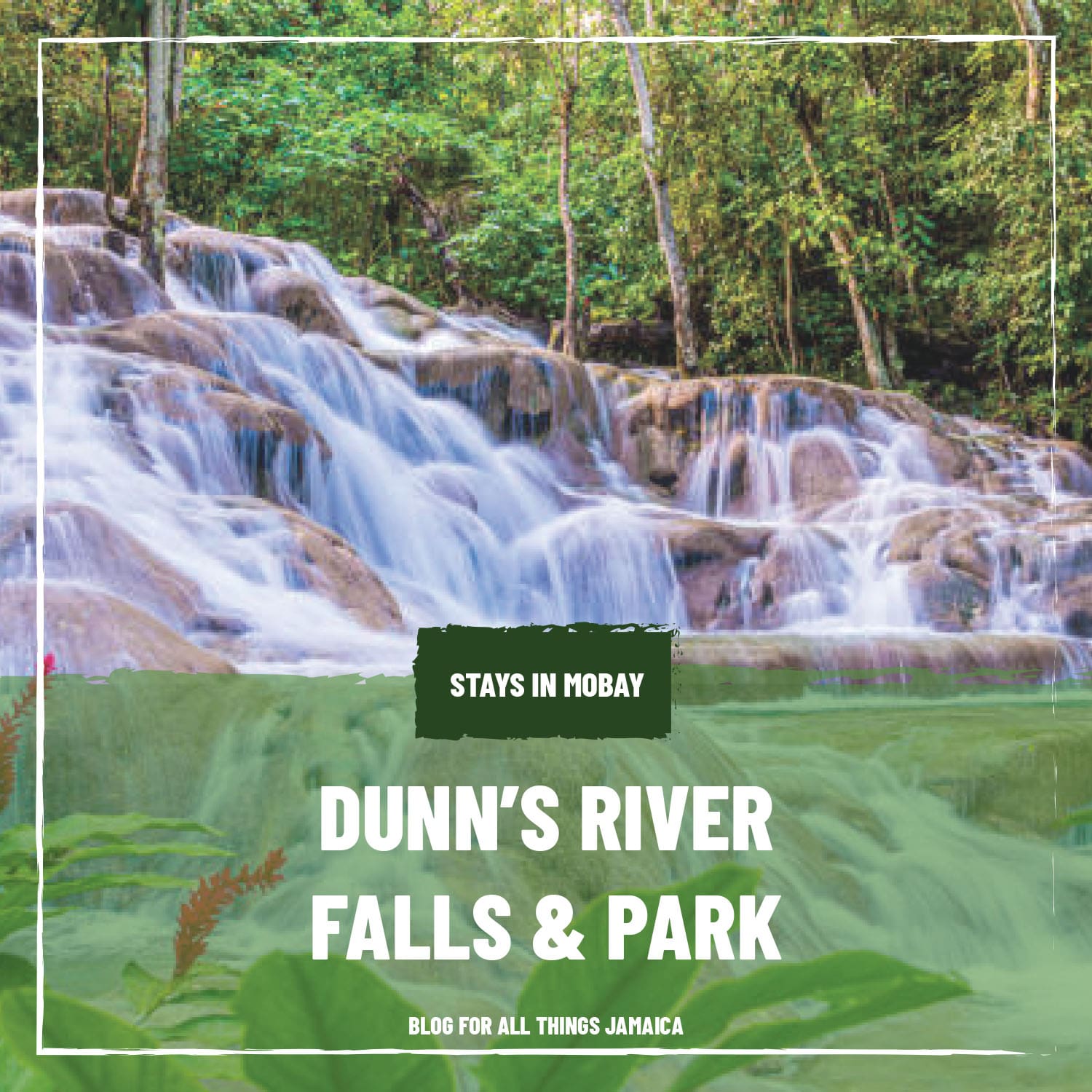 Dunn's River Falls