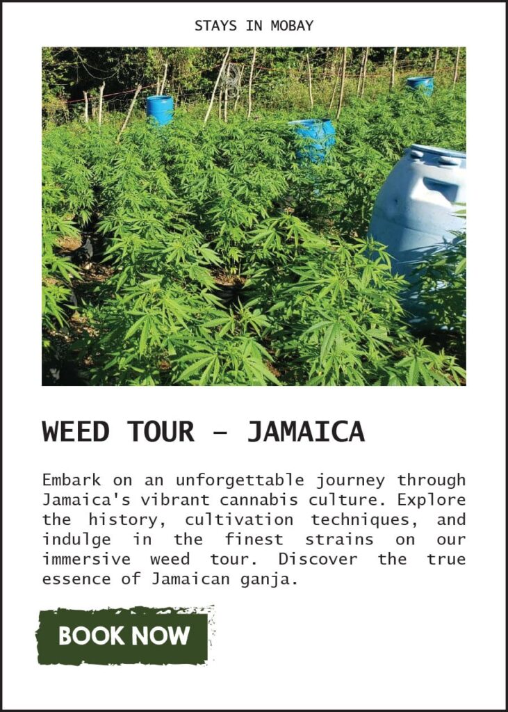 Weed Tour Jamaica