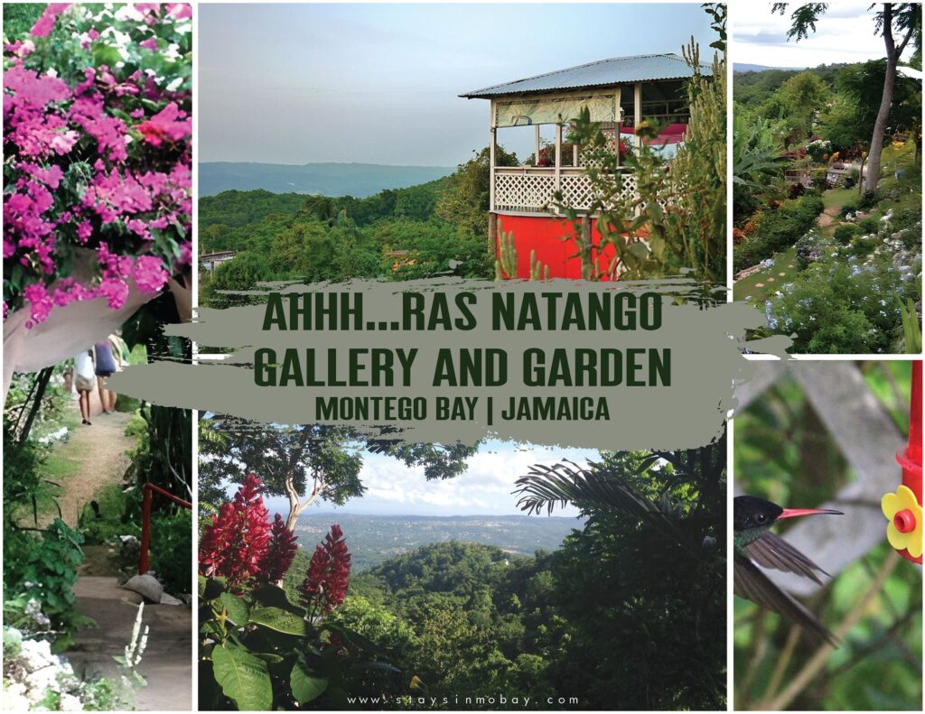 Ahhh...Ras Natango Gallery and Garden