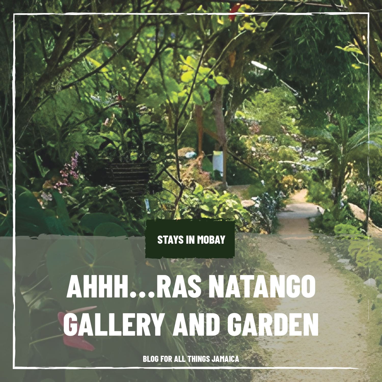 Ahhh...Ras Natango Gallery and Garden