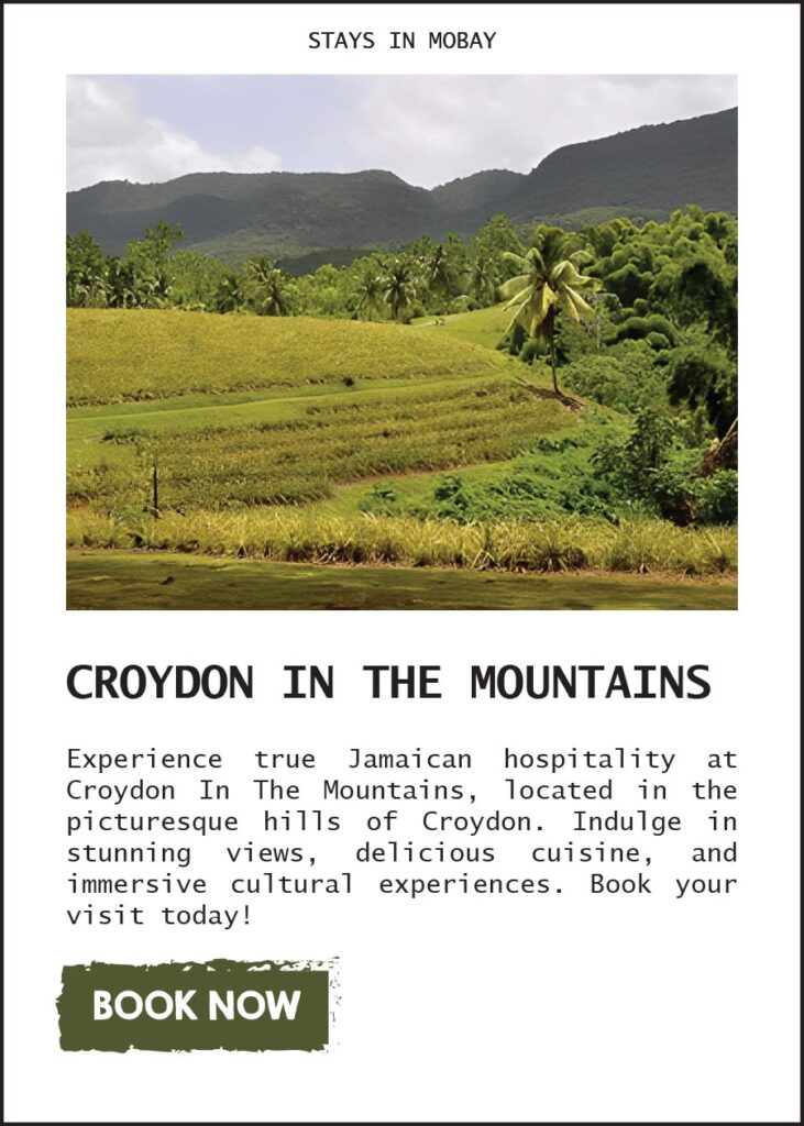 Croydon In The Mountains