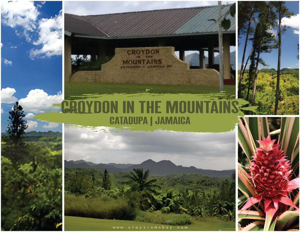 Croydon In The Mountains