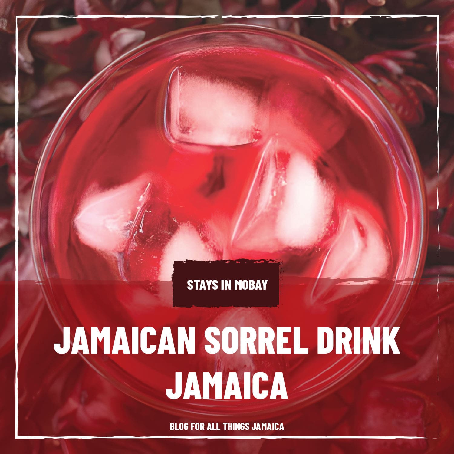 Jamaican Sorrel Drink