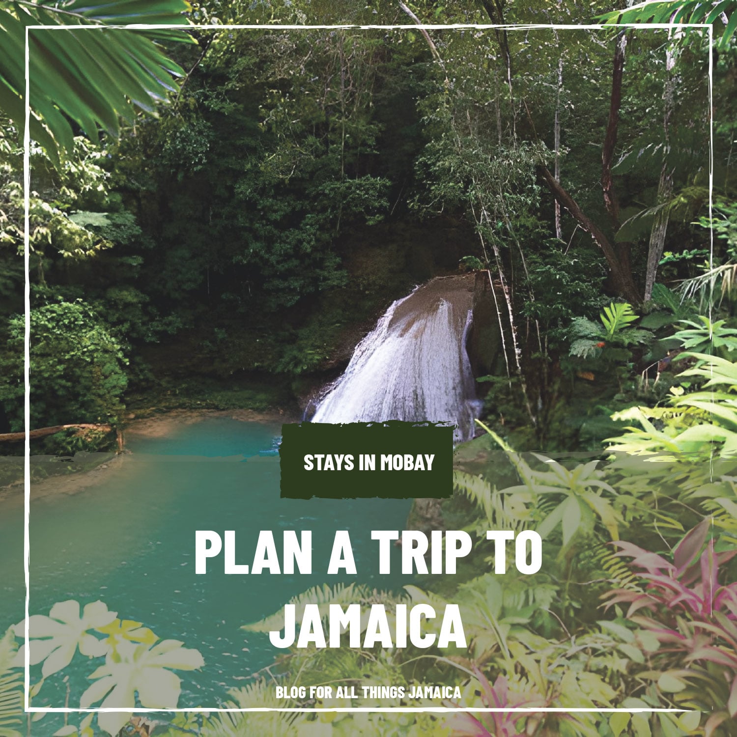 Plan a Trip to Jamaica