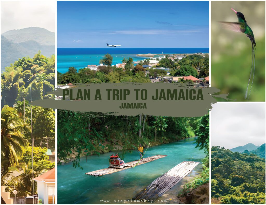 Plan a Trip to Jamaica
